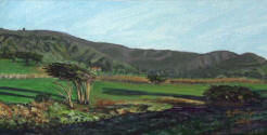 6x12 Pacifica Gold Course