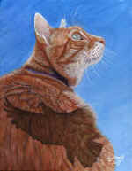 Bird-Watching_small
